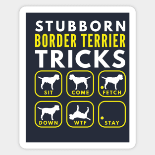 Stubborn Border Terrier Tricks - Dog Training Magnet